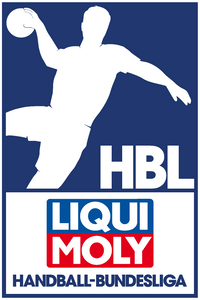 Meine Zwischenbilanz der Liqui Moly Handball Bundesliga