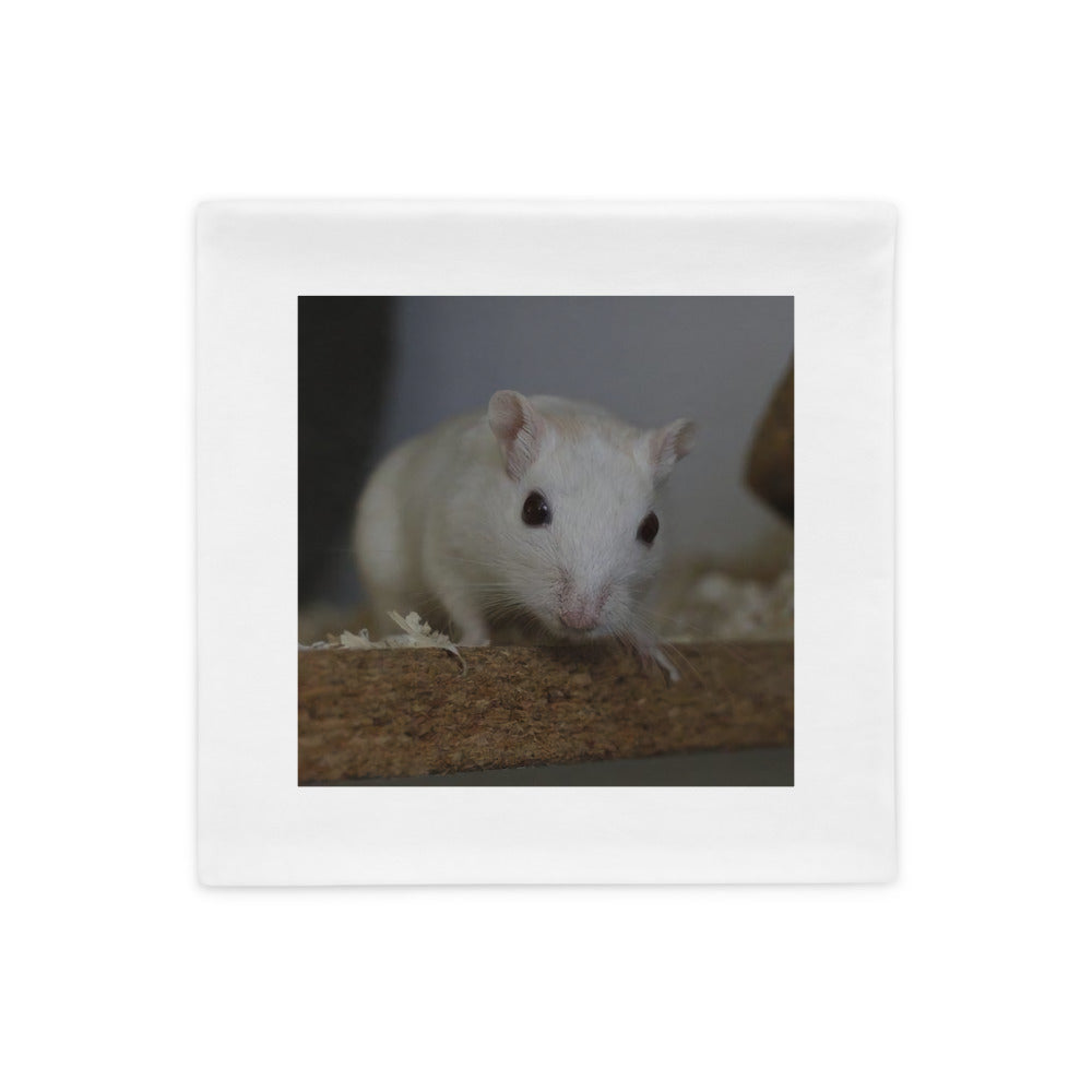 Animal shelter mouse pillow