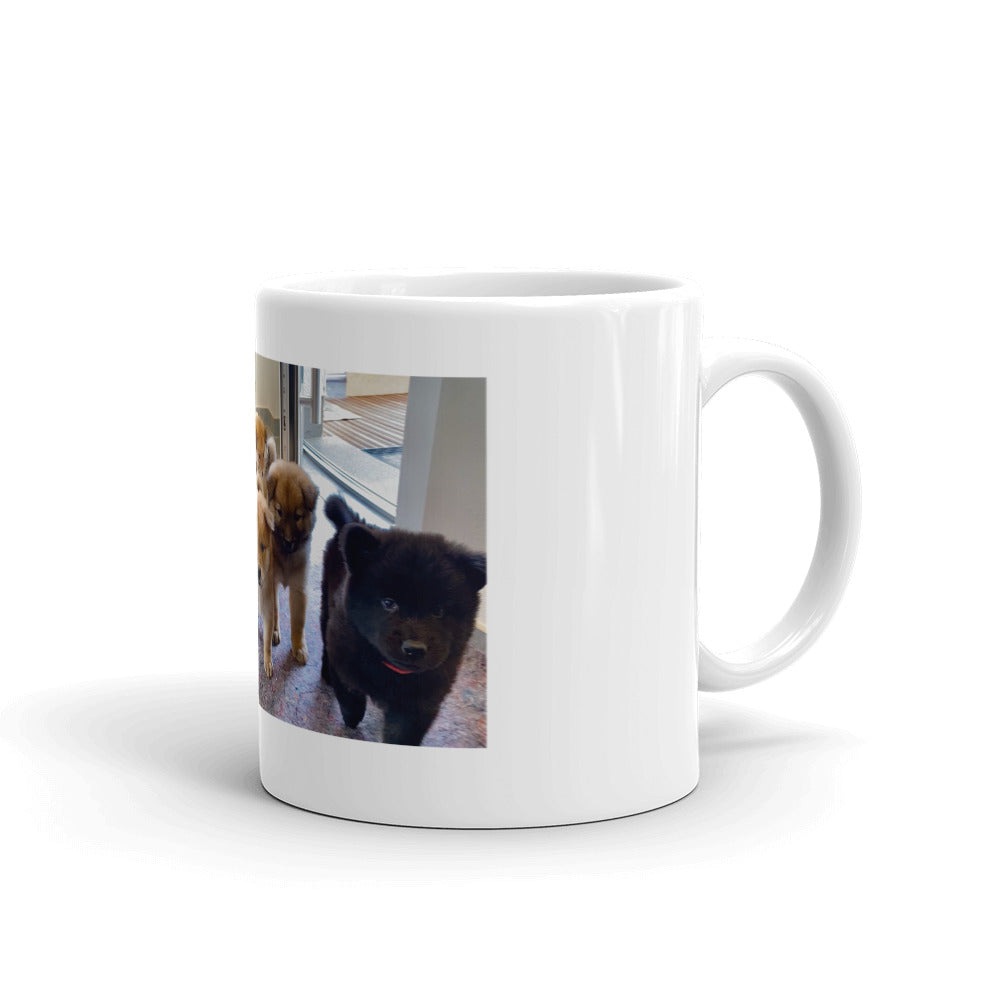 F-Wurf Biggesee Tasse