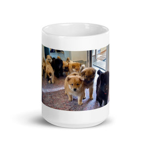 F-Wurf Biggesee Tasse